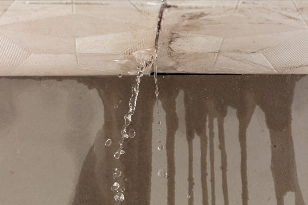 Professional Water Extraction technician working in Huntington, UT